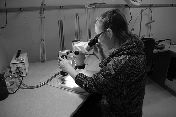 black and white photo of a student looking into a microscope